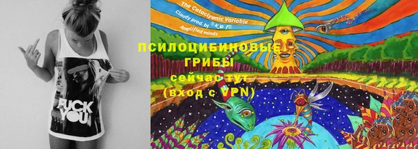 spice Алексеевка