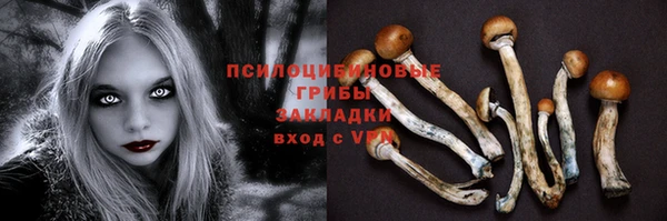spice Алексеевка