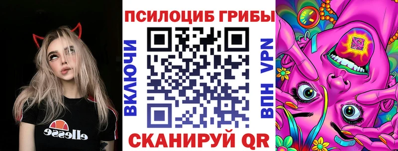 OMG ТОР Инсар Псилоцибиновые грибы Magic Shrooms купить наркоту